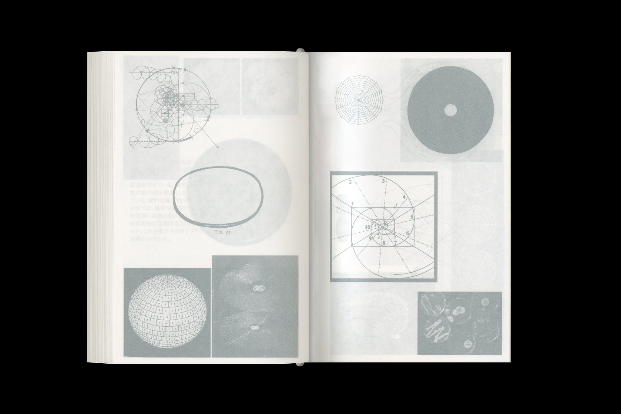 The very nature of materiality (Revised Edition)